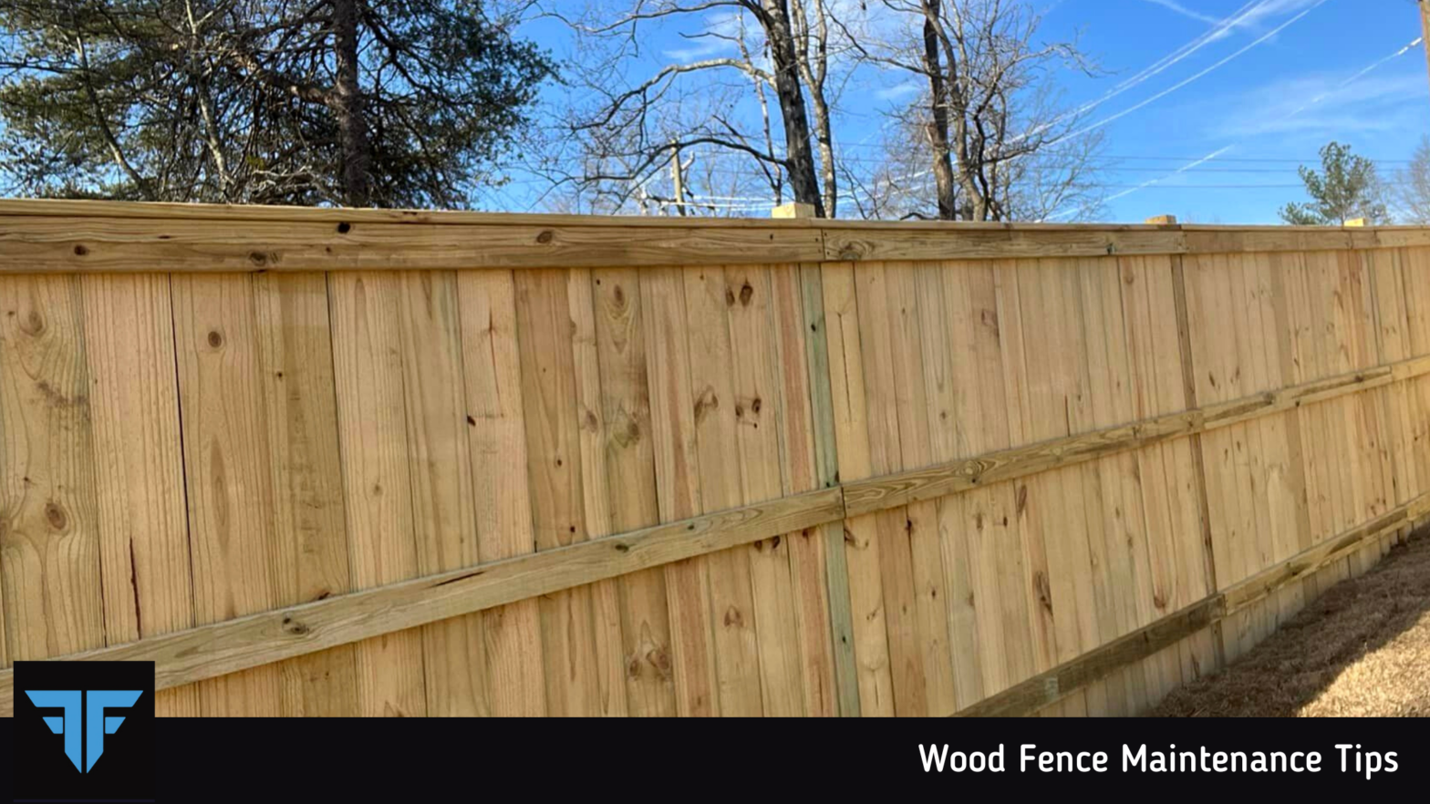 Wood Fence Maintenance Tips
